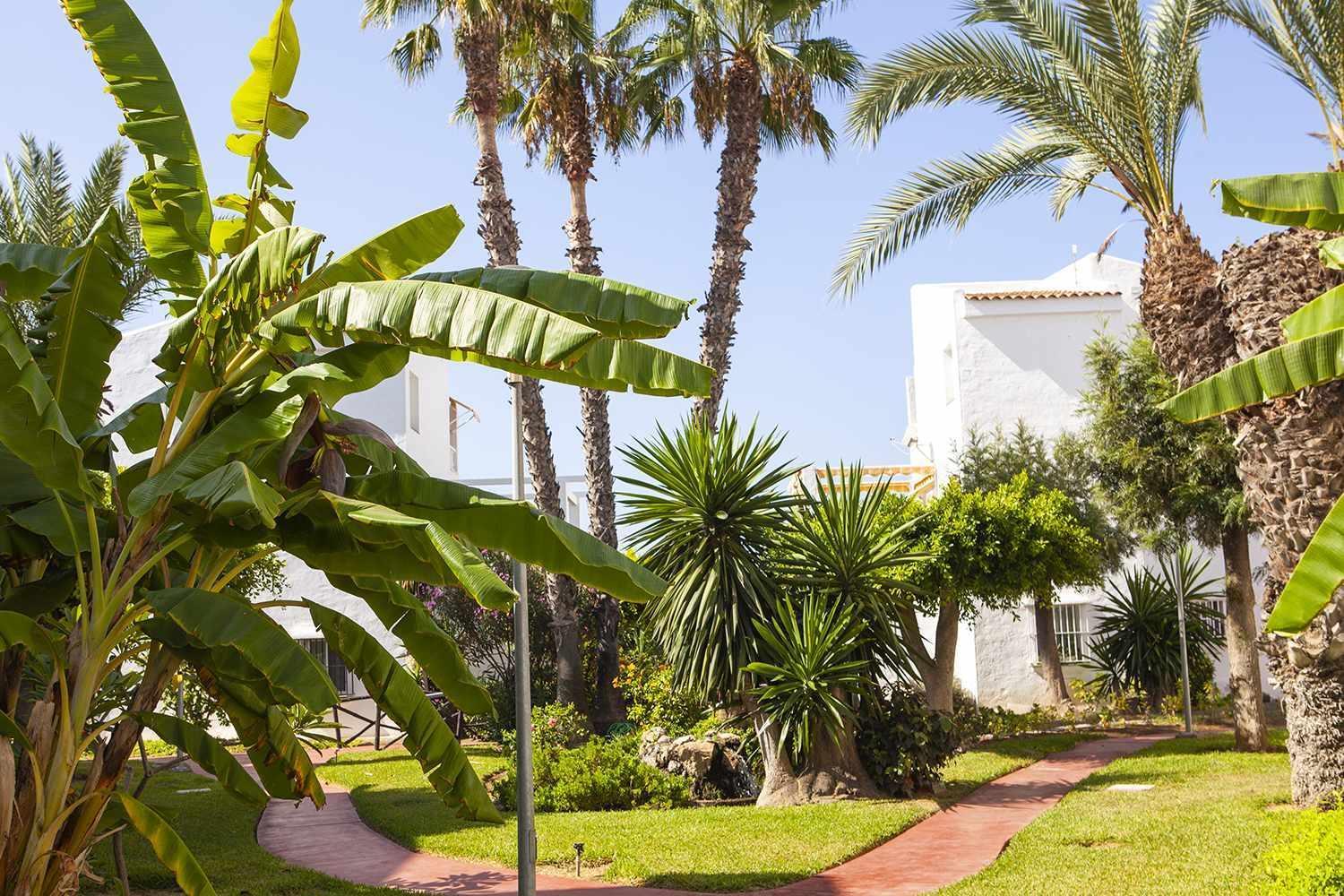 A 100M De Playa Piscina Y Todos Los Servicios Apartment ตอร์ร็อกซ์ ภายนอก รูปภาพ